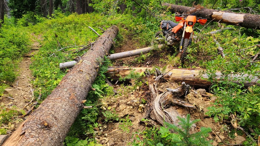 motorcycle surrounded by logs
