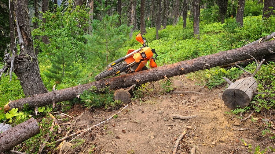 motorcycle stuck on a log