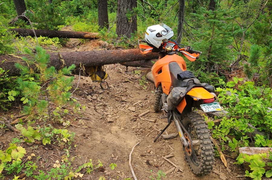motorcycle parked on a trail blocked by logs