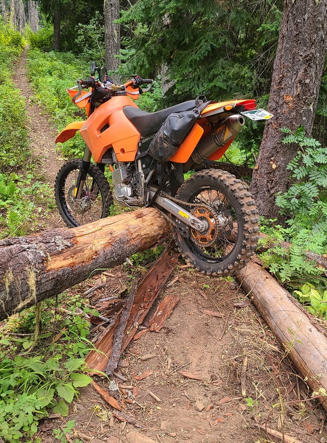 motorcycle sitting atop a log