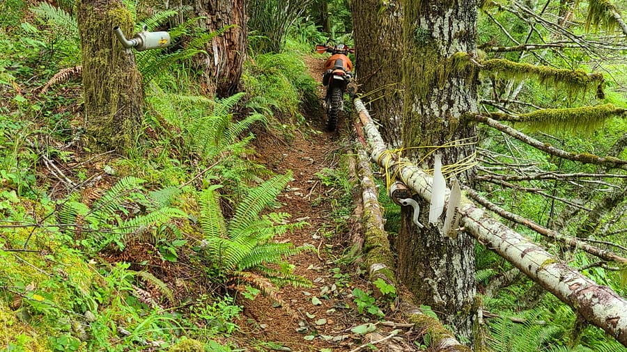 motorcycle parked on a trail with motorcycle part hanging off surrounding trees