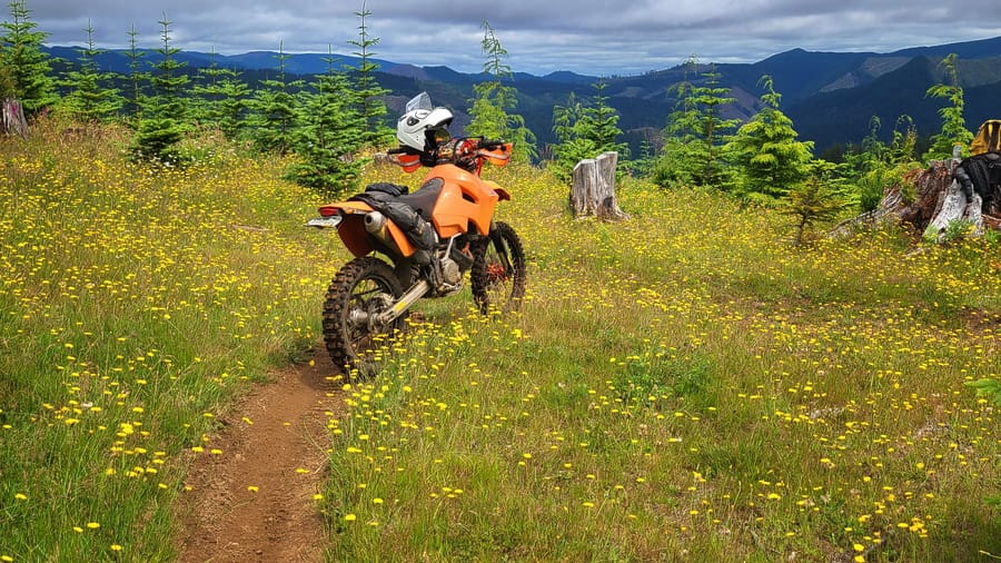 motorcycle parked in a flower field with sweeping views of surrounding mountains