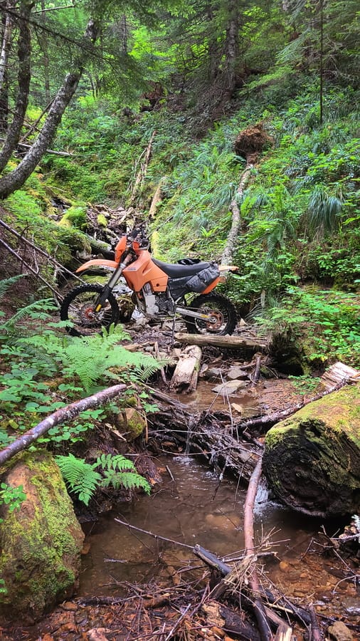 motorcycle parked in a gully full of vegetation