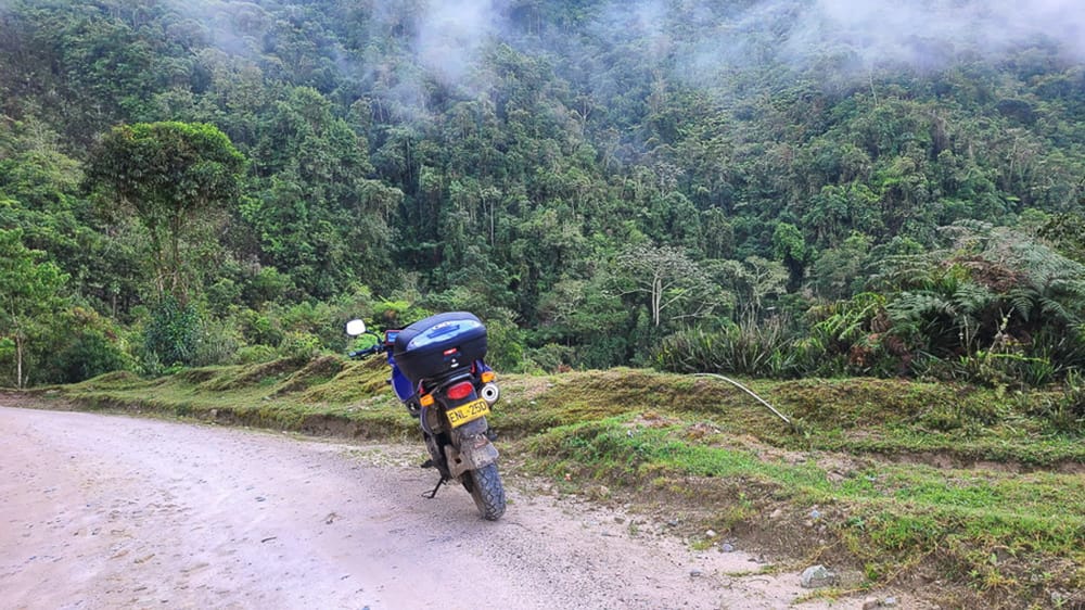 motorcycle parked on a dirt road with jungle behind