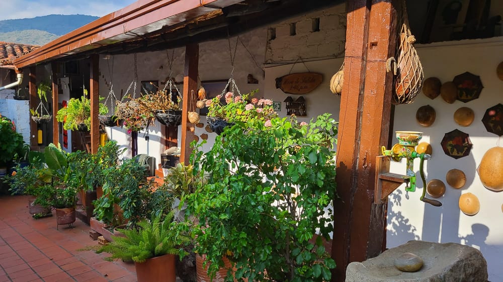  plants filled coutryard 