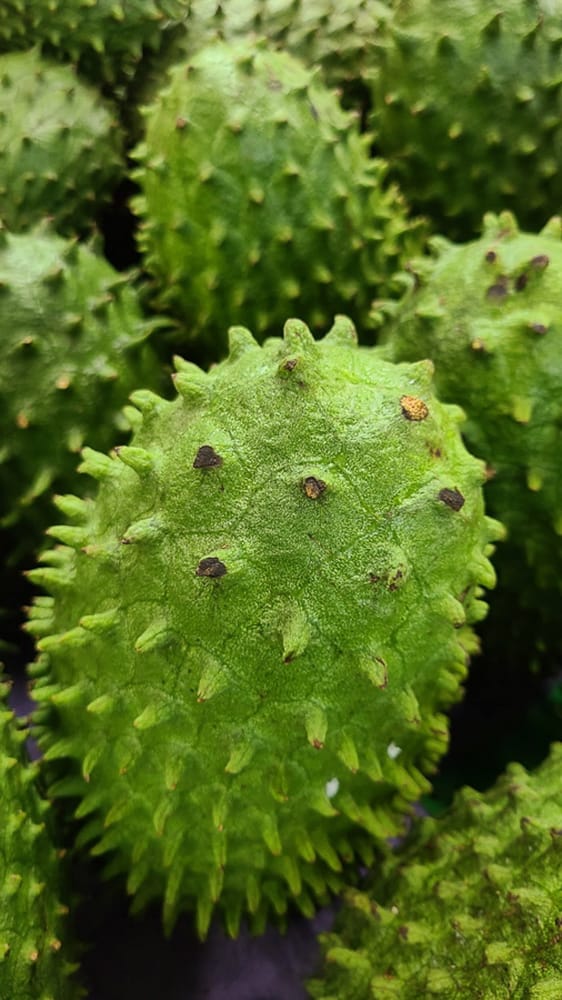  green fruit with big spikes