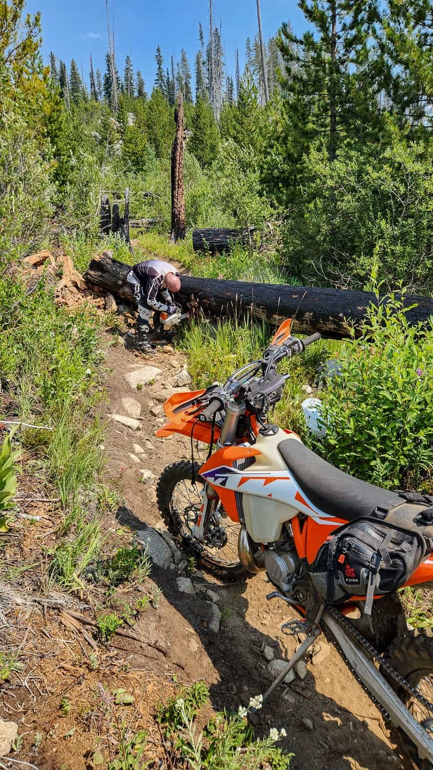 motorcycle rider cutting fallen trees obstructing the trail