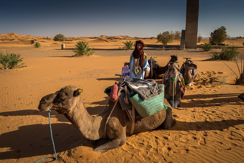 Camel and its handler