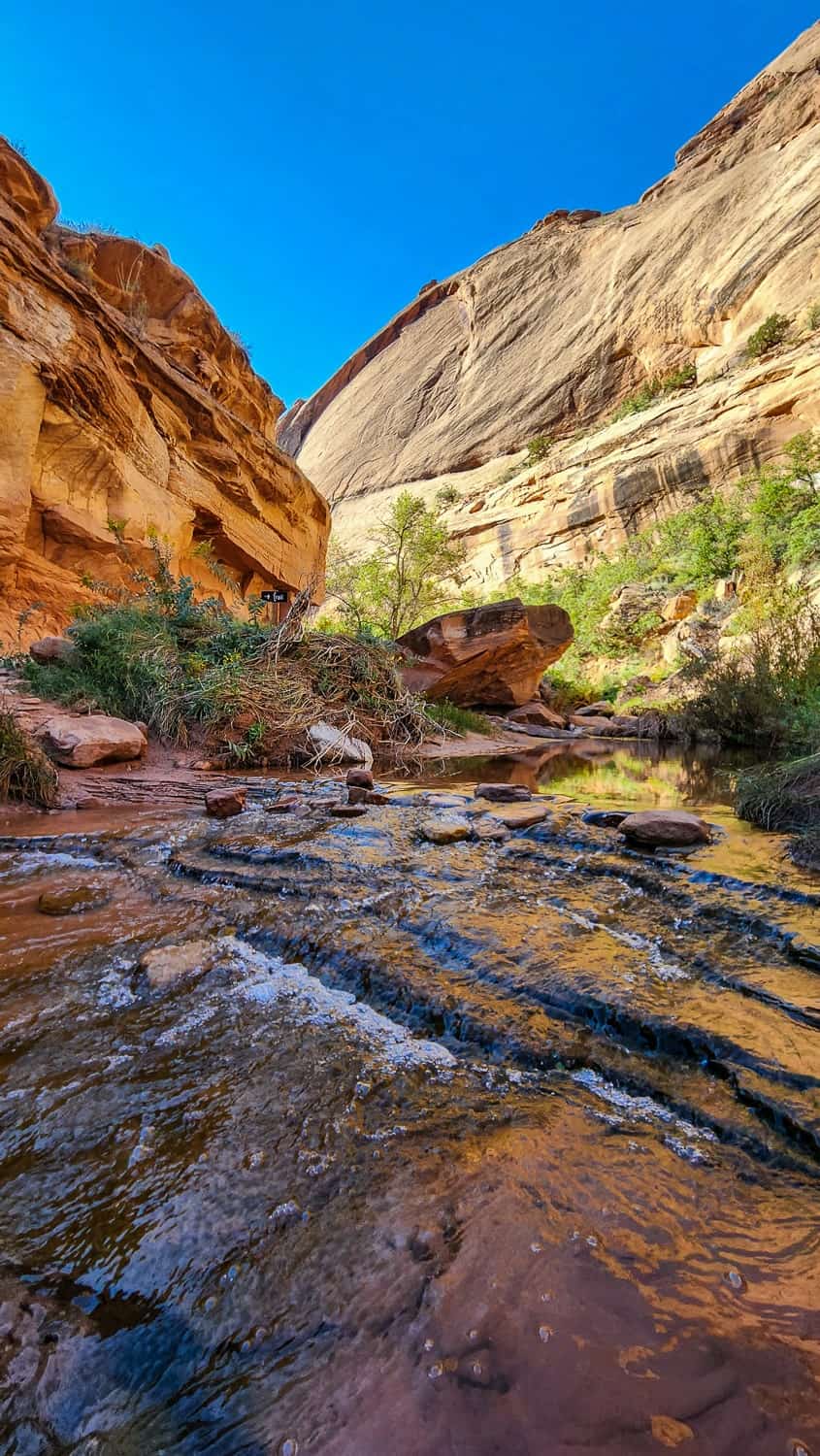 a creek cascading through a red rock canyon 