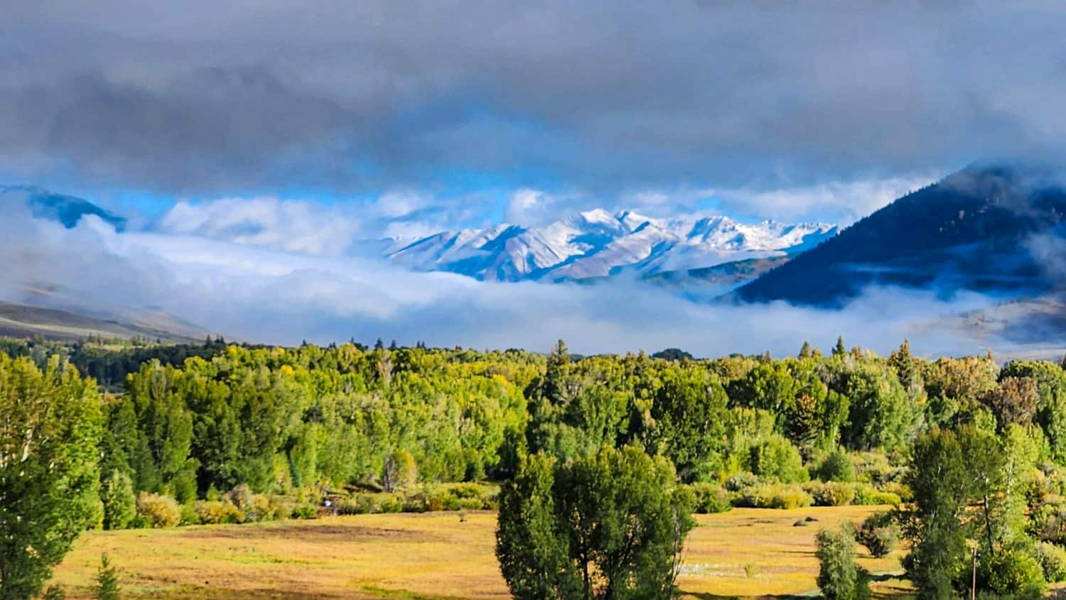 view of a snowy peaks and a valley  