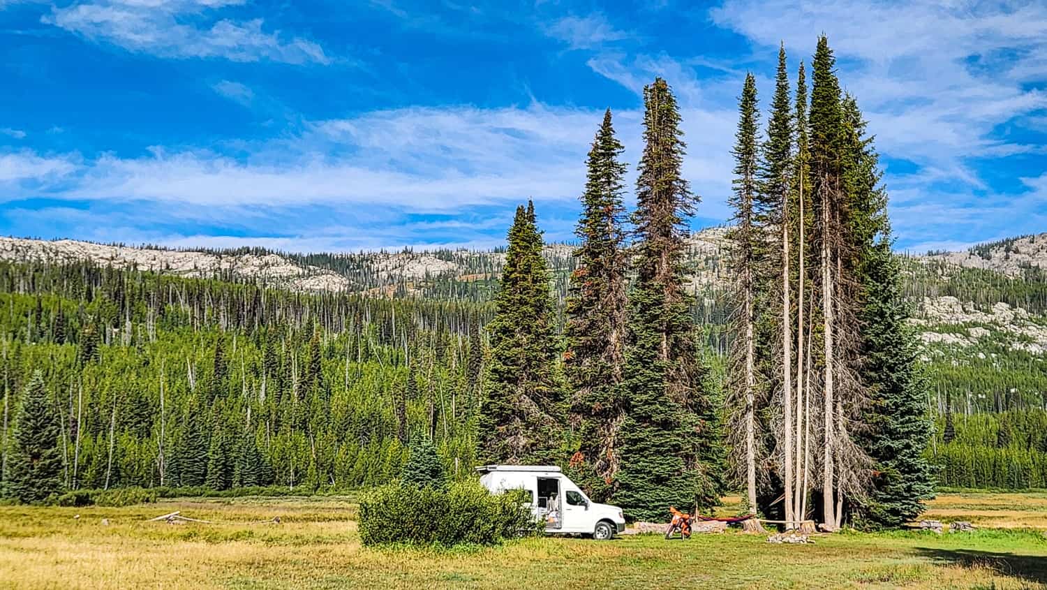 van and dirt bike parked next to tall pine trees