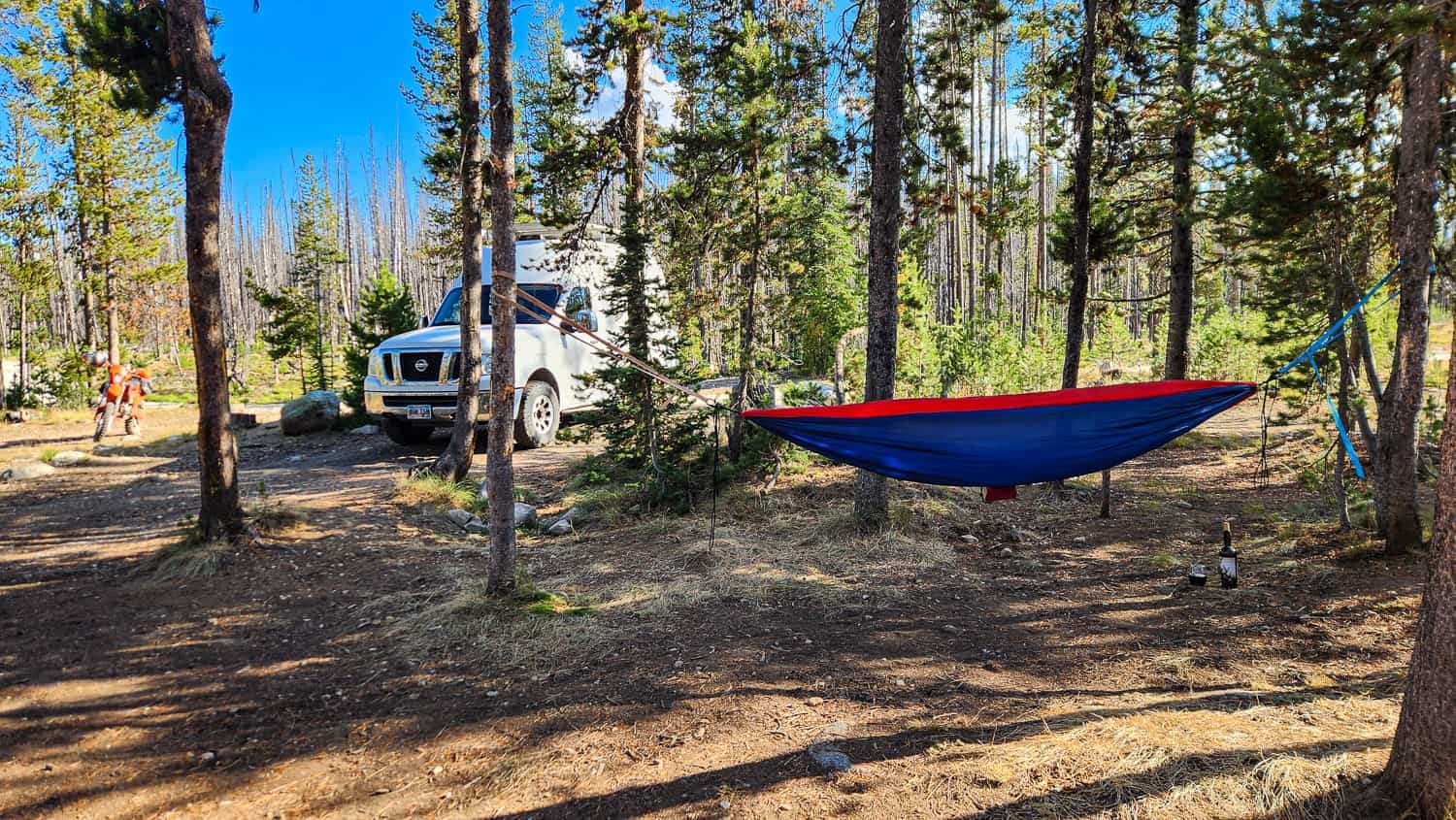 camp with van and hammoc among pine trees